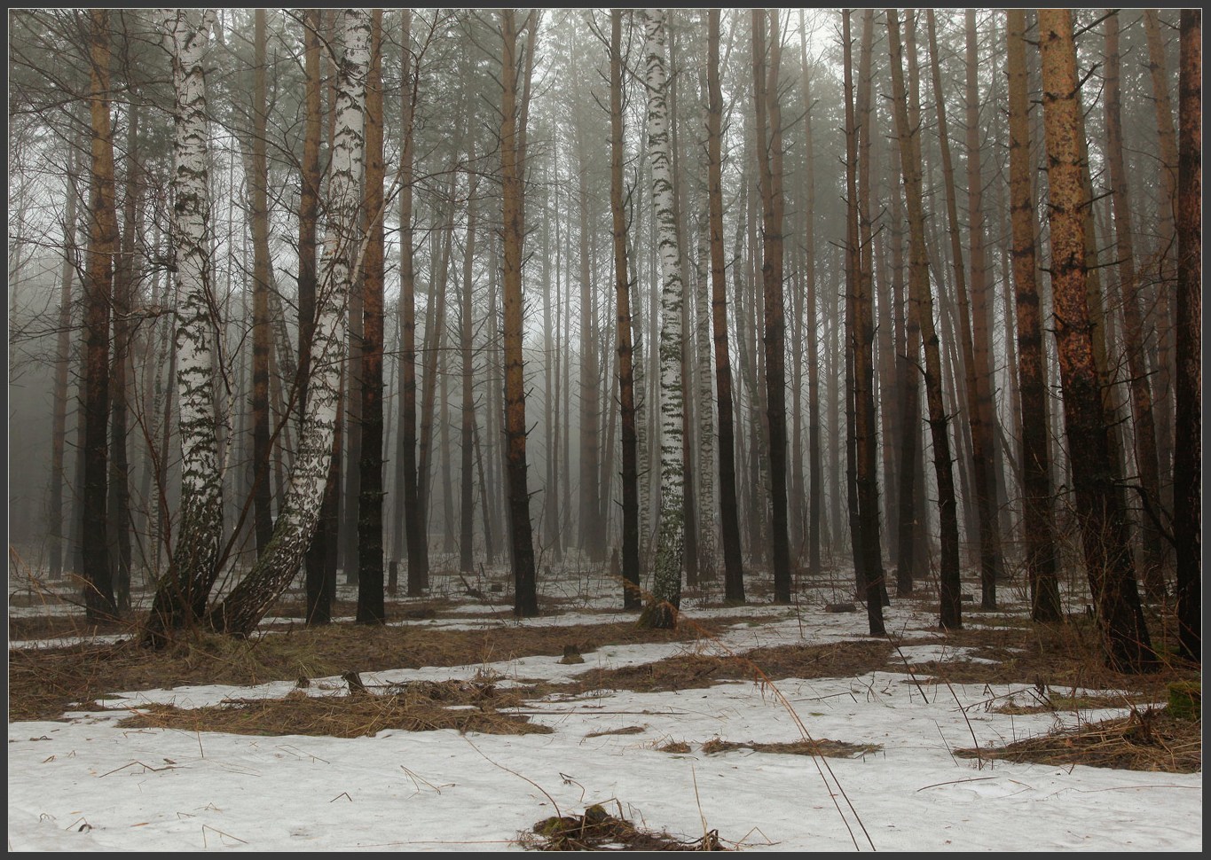 Весенние проталины