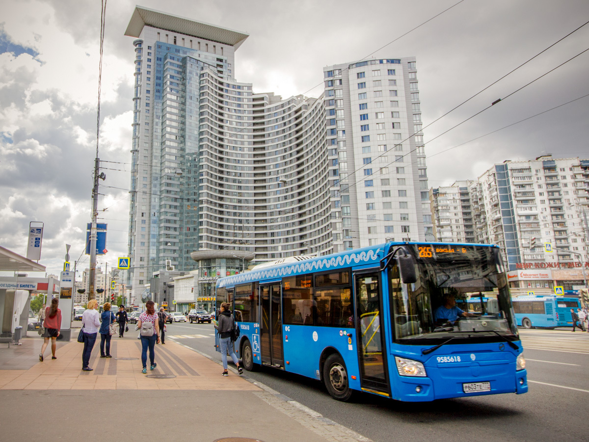 У Сокольников