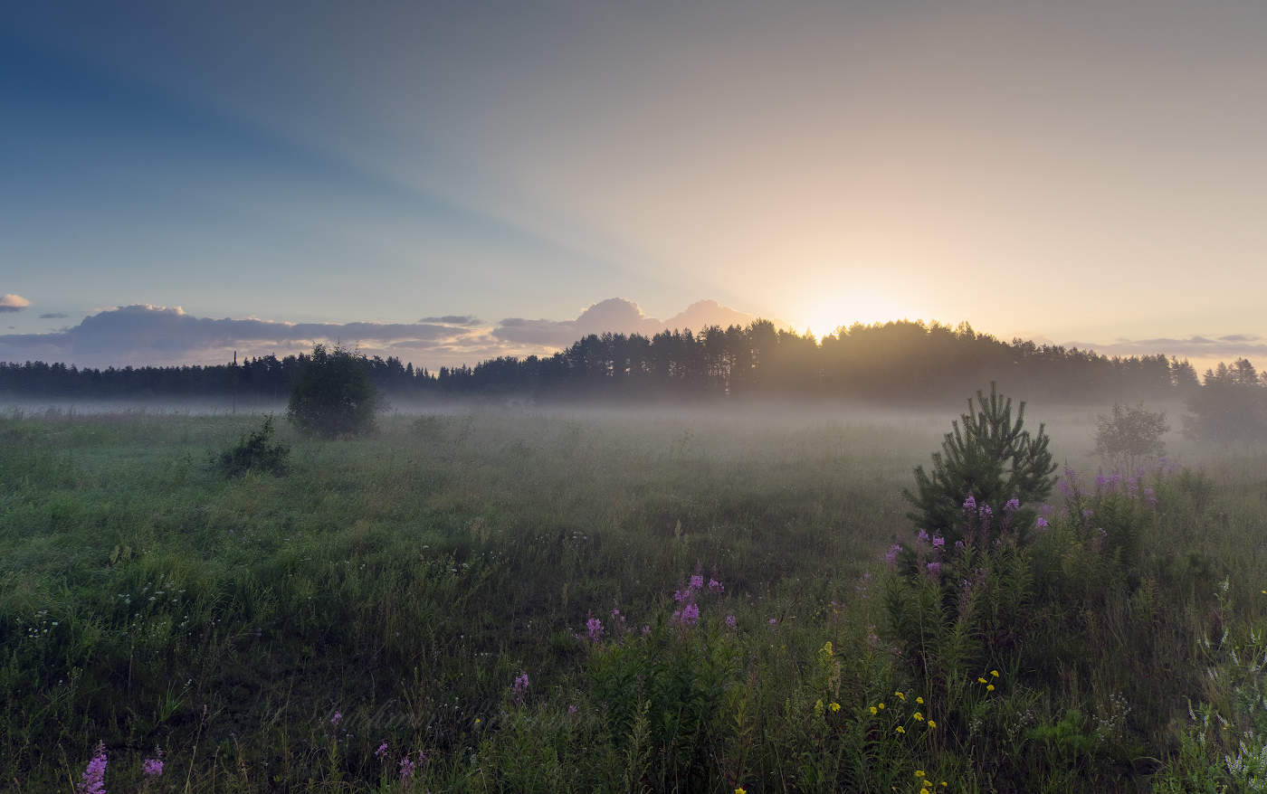 Краски летнего утра