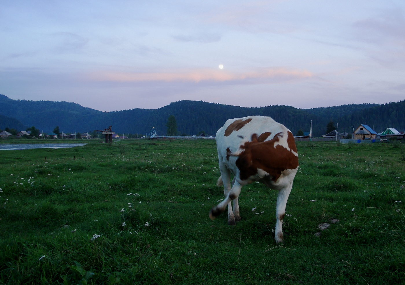 Эх, спляшу- ка я гопак при луне