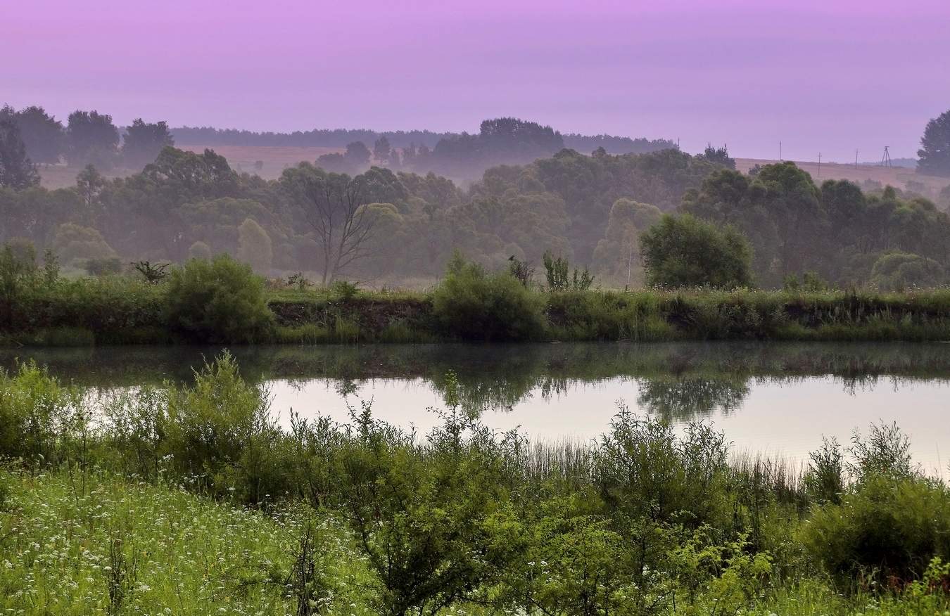 Туманное лето