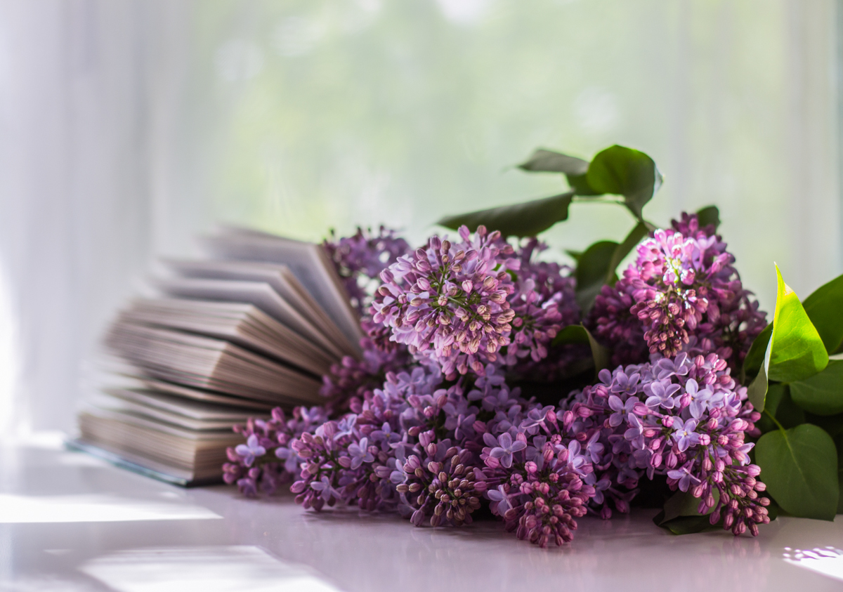 Сиреневый май...