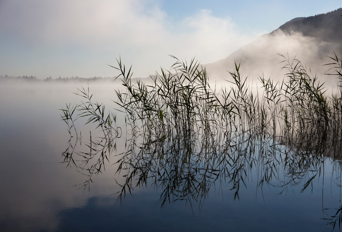 Туманное утро