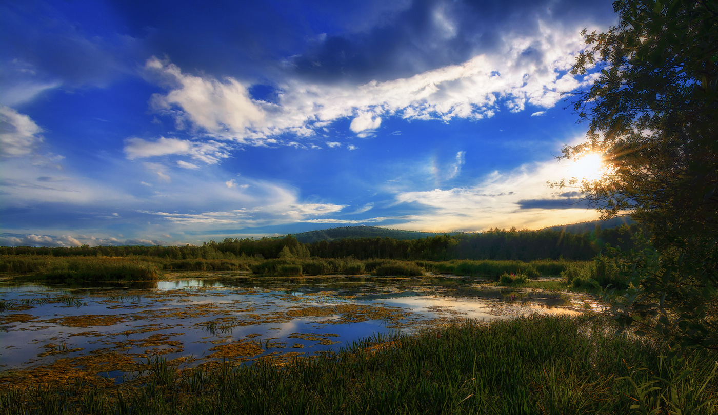 Летний вечер