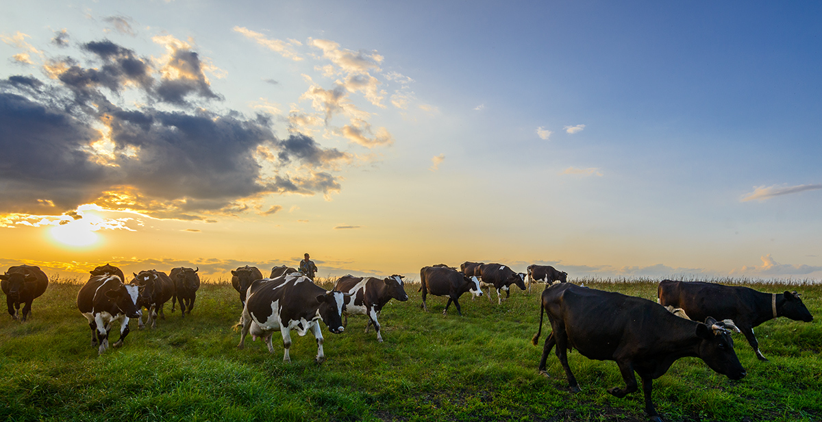 Вечер в деревне...