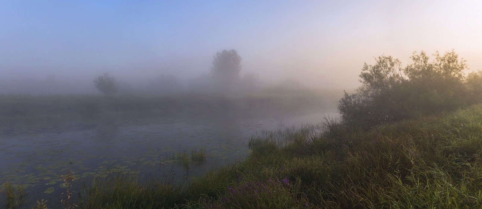 Туманным утром.
