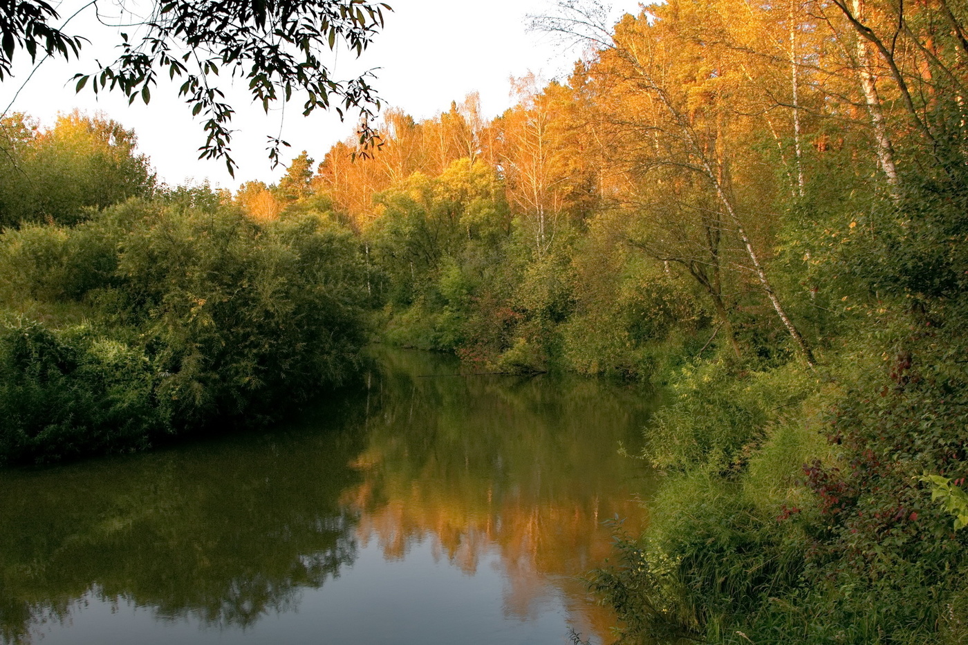 ВЕЧЕРНИЙ СВЕТ