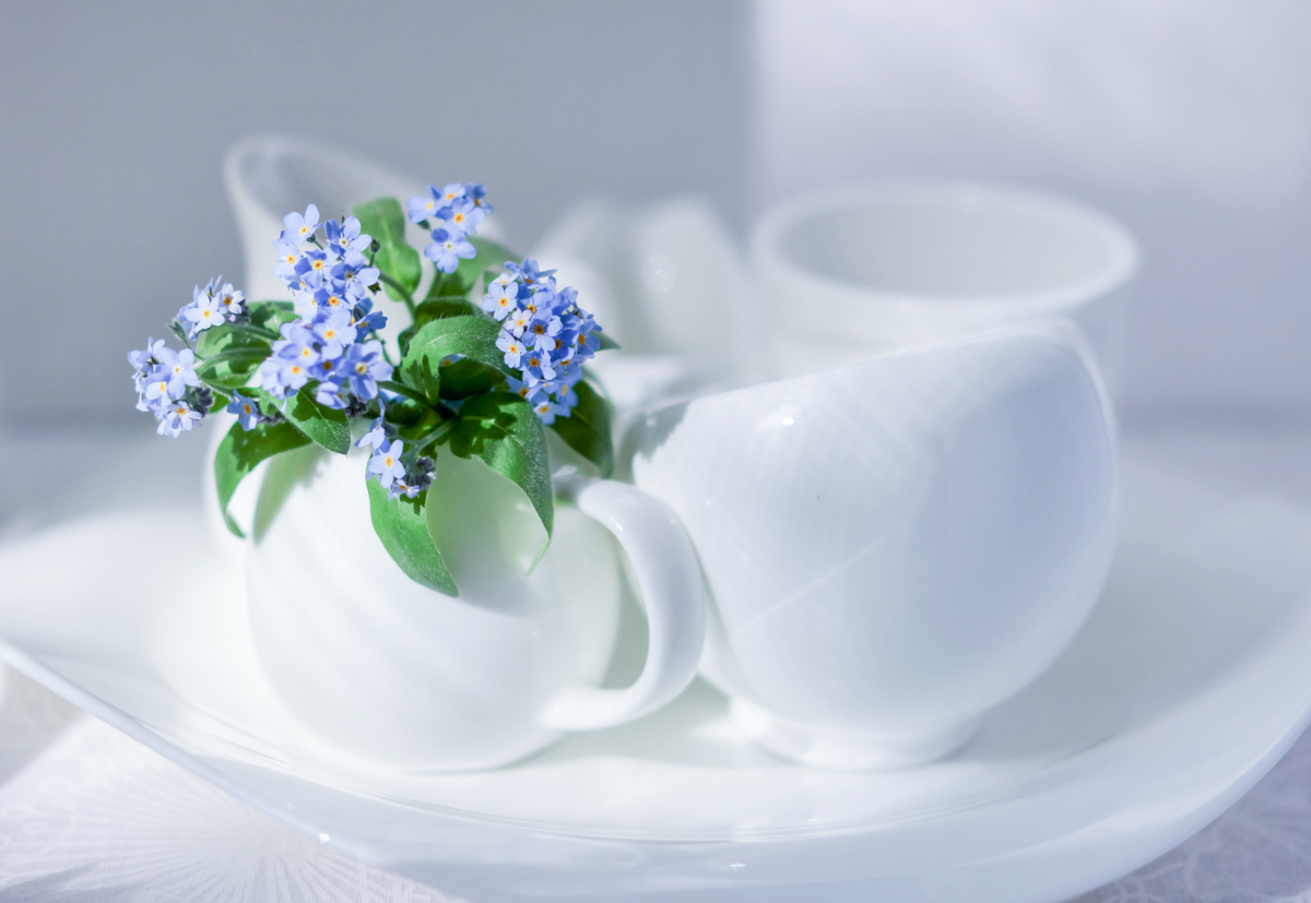 нежное утро