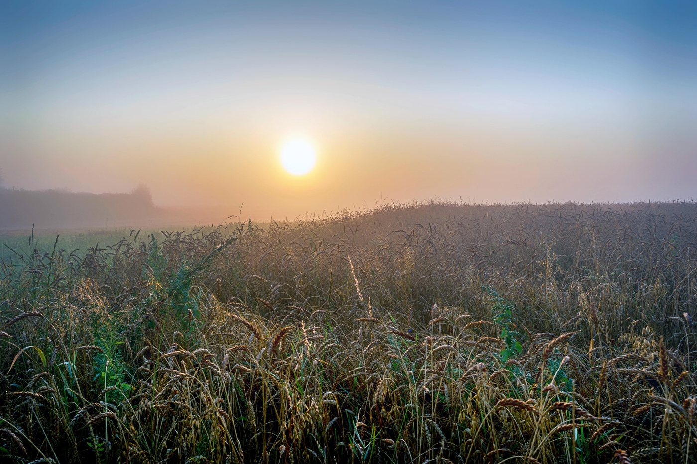 Рассвет в тумане.