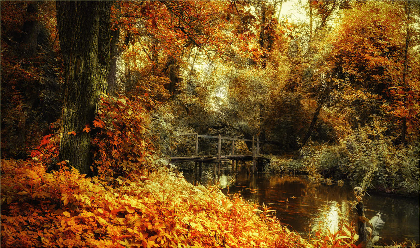 Скоро осень