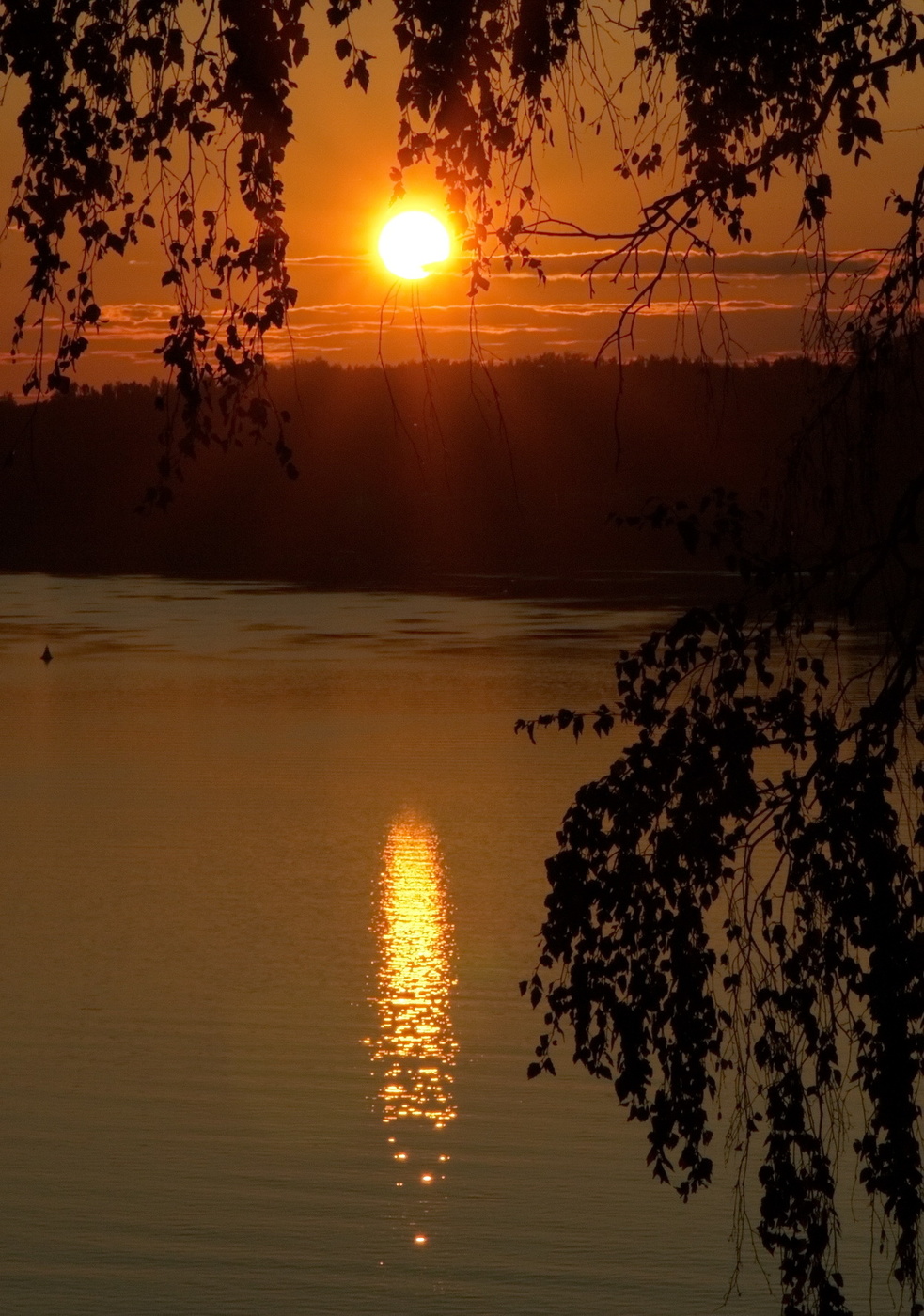 СОЛНЕЧНАЯ ДОРОЖКА.