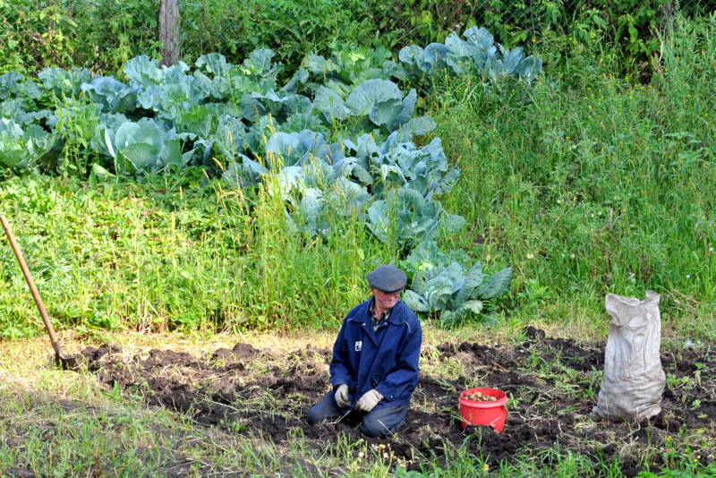 Конец сезона