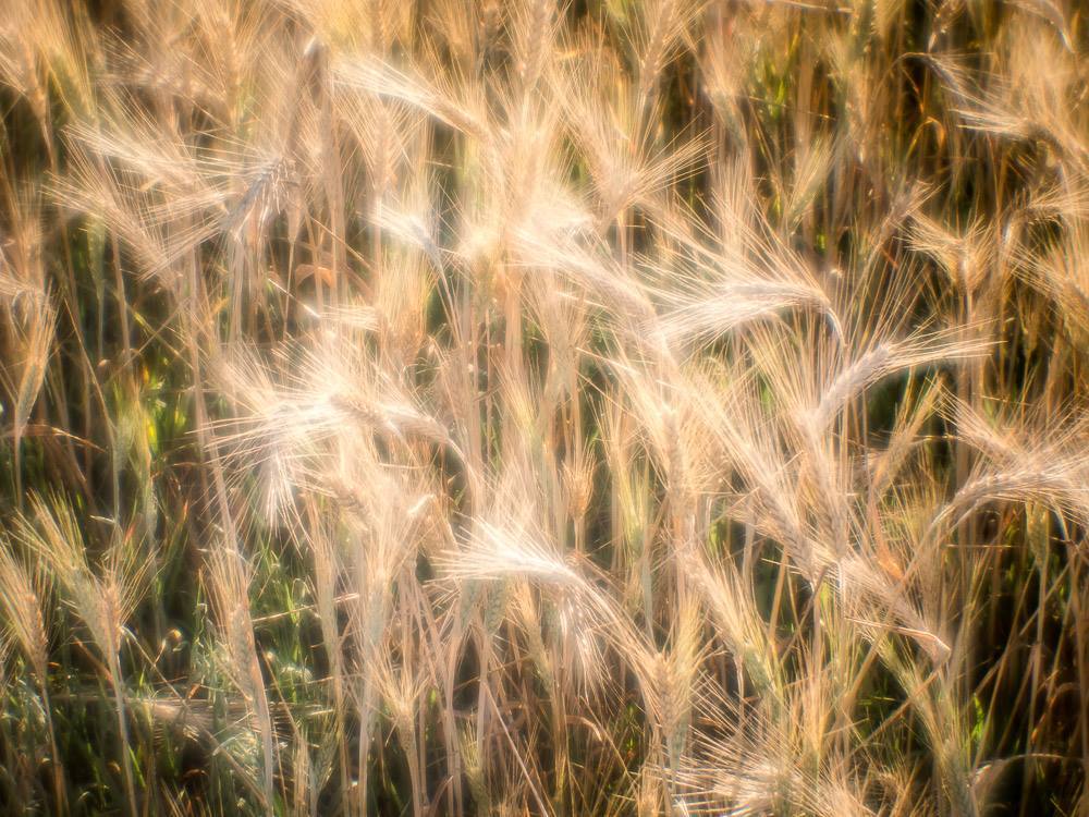 Конец сезона