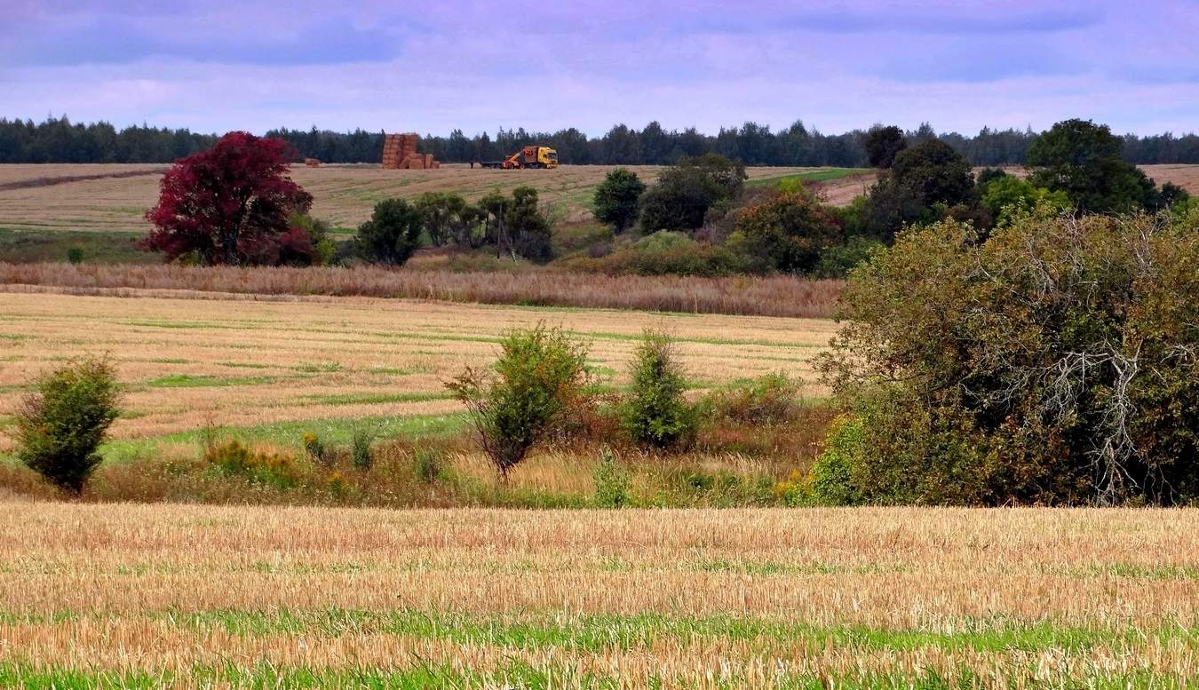 Конец сезона