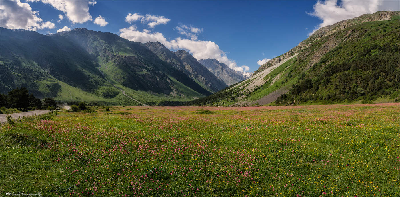 Цветущее горное лето.