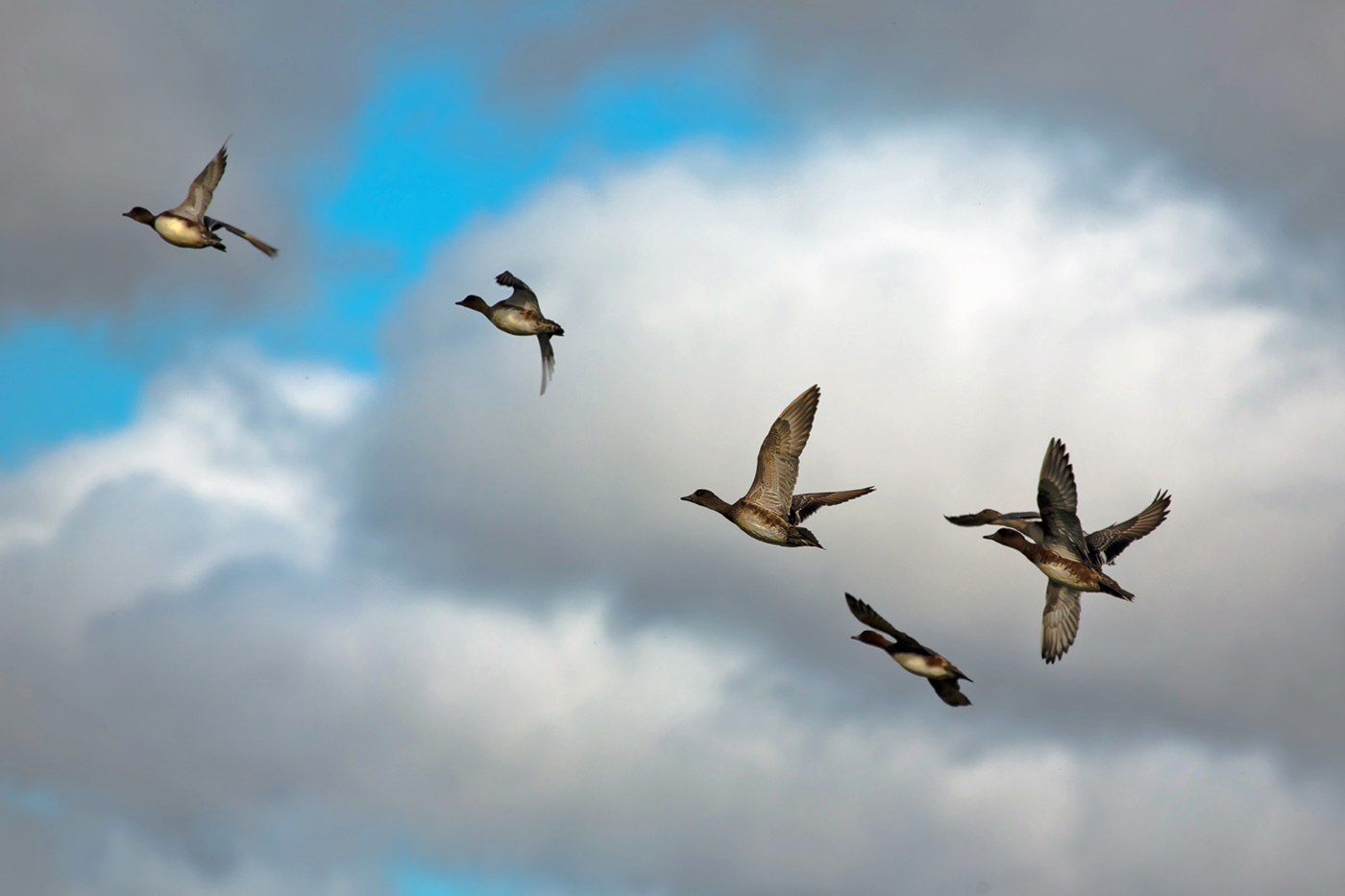 Конец сезона