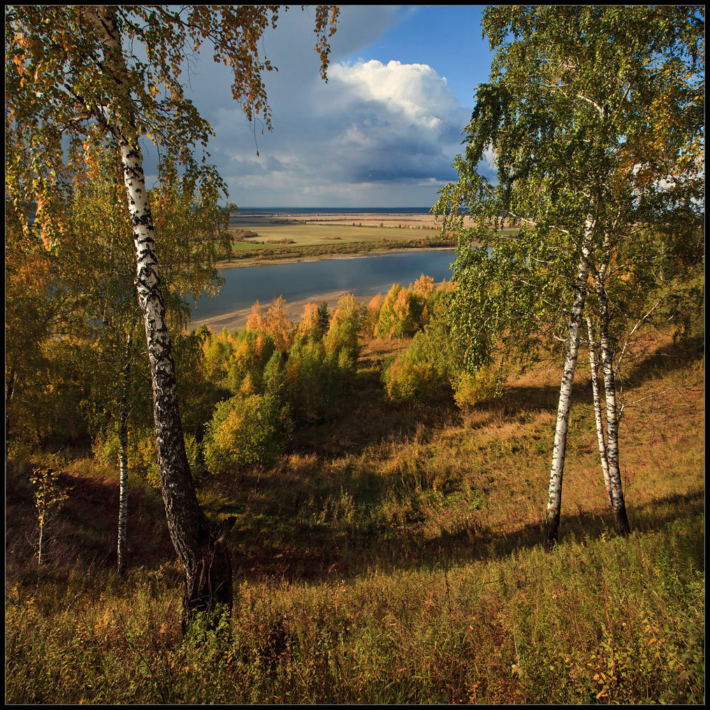 Без названия