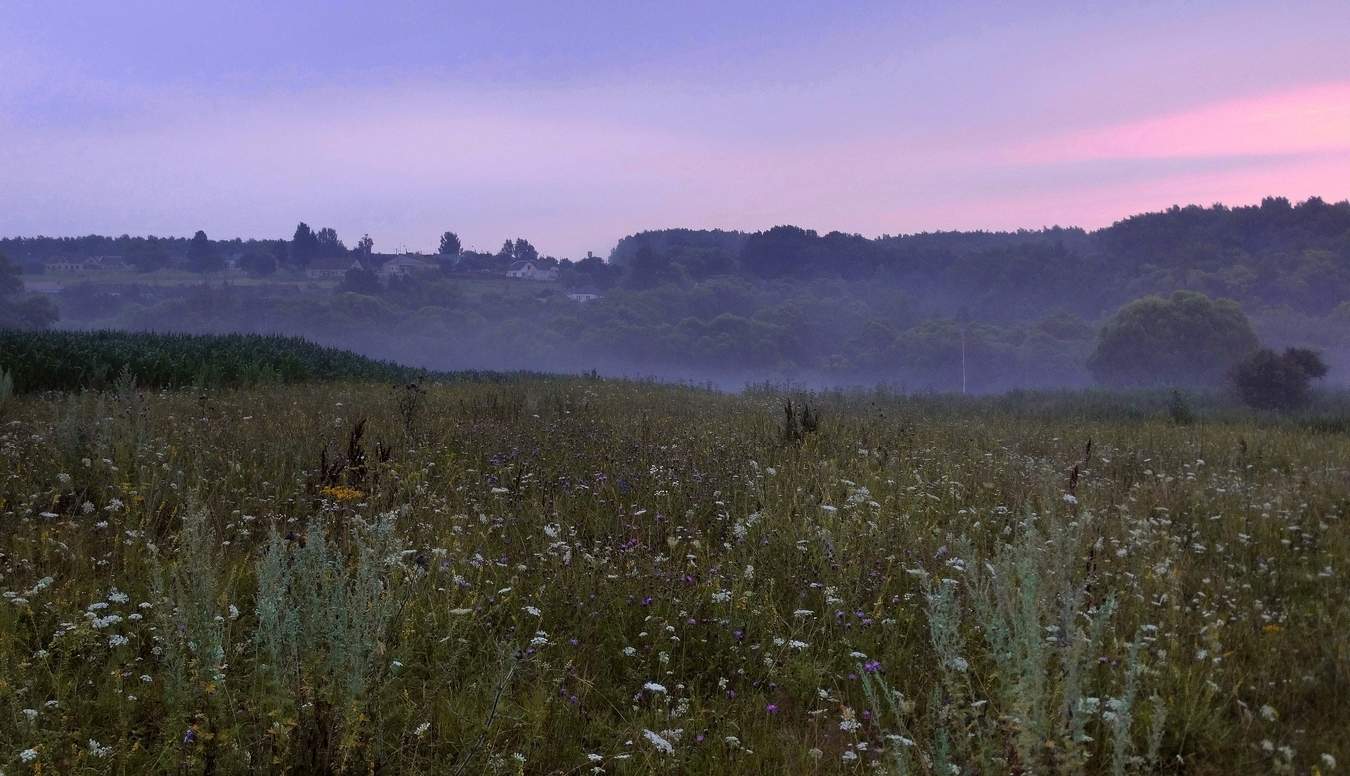 Спящая деревня на косогоре в утреннем тумане