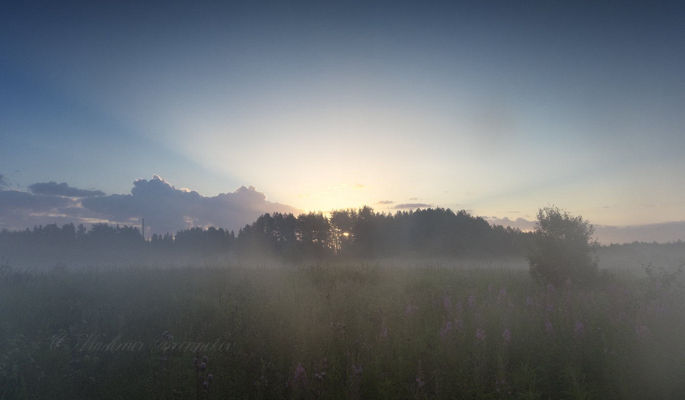 Утренняя истома