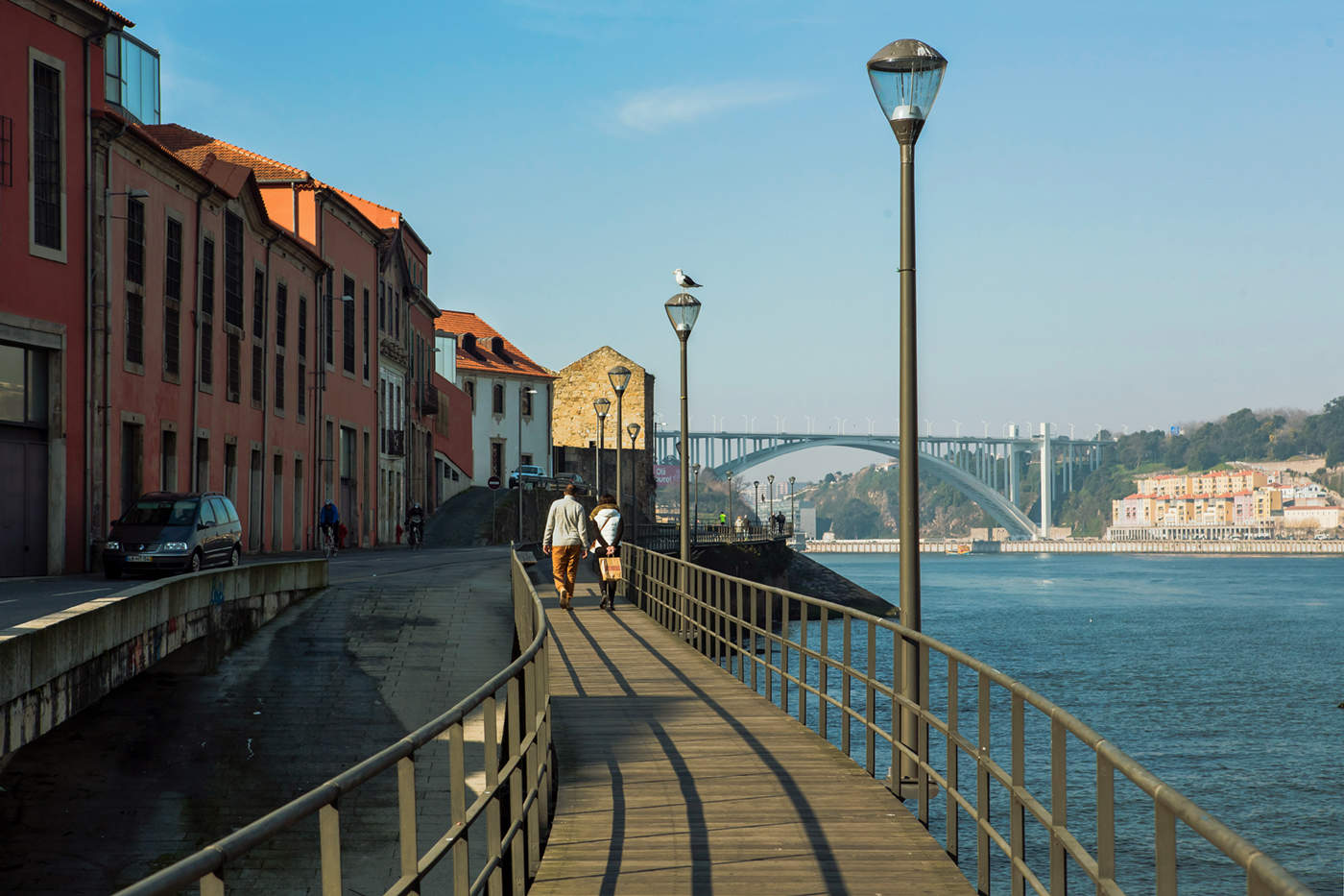 На утренней прогулке