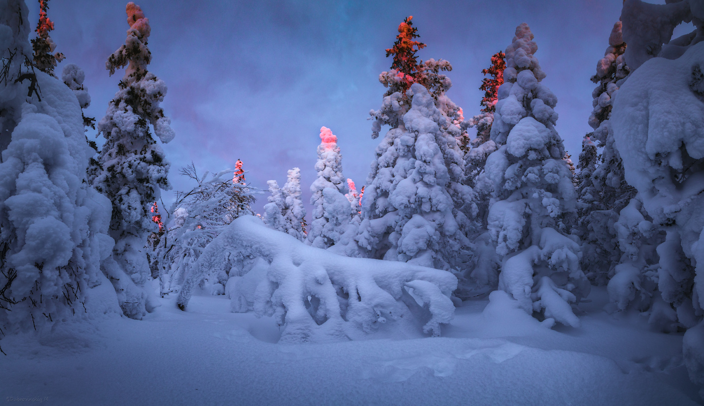 Снежные джунгли Таганая)