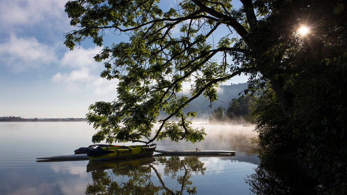 Водоплавающие