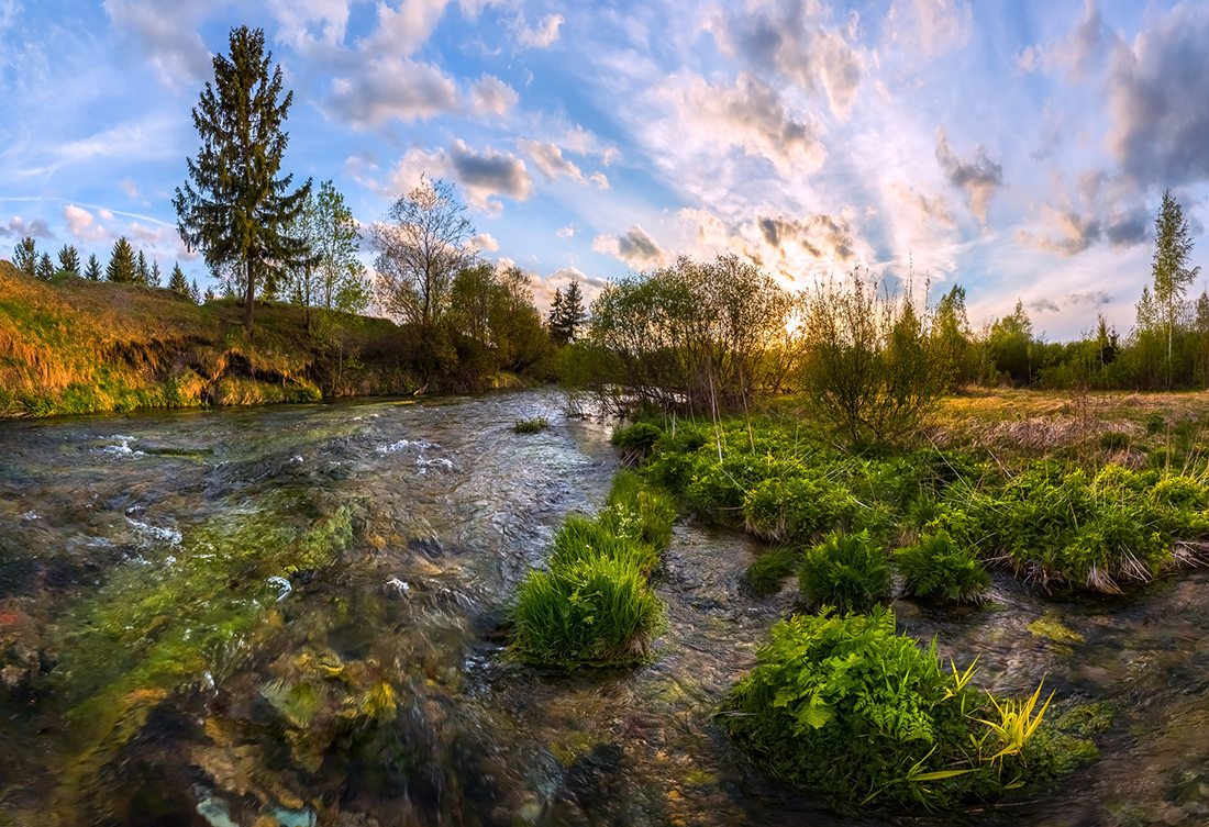 Зелёные берега Ижоры