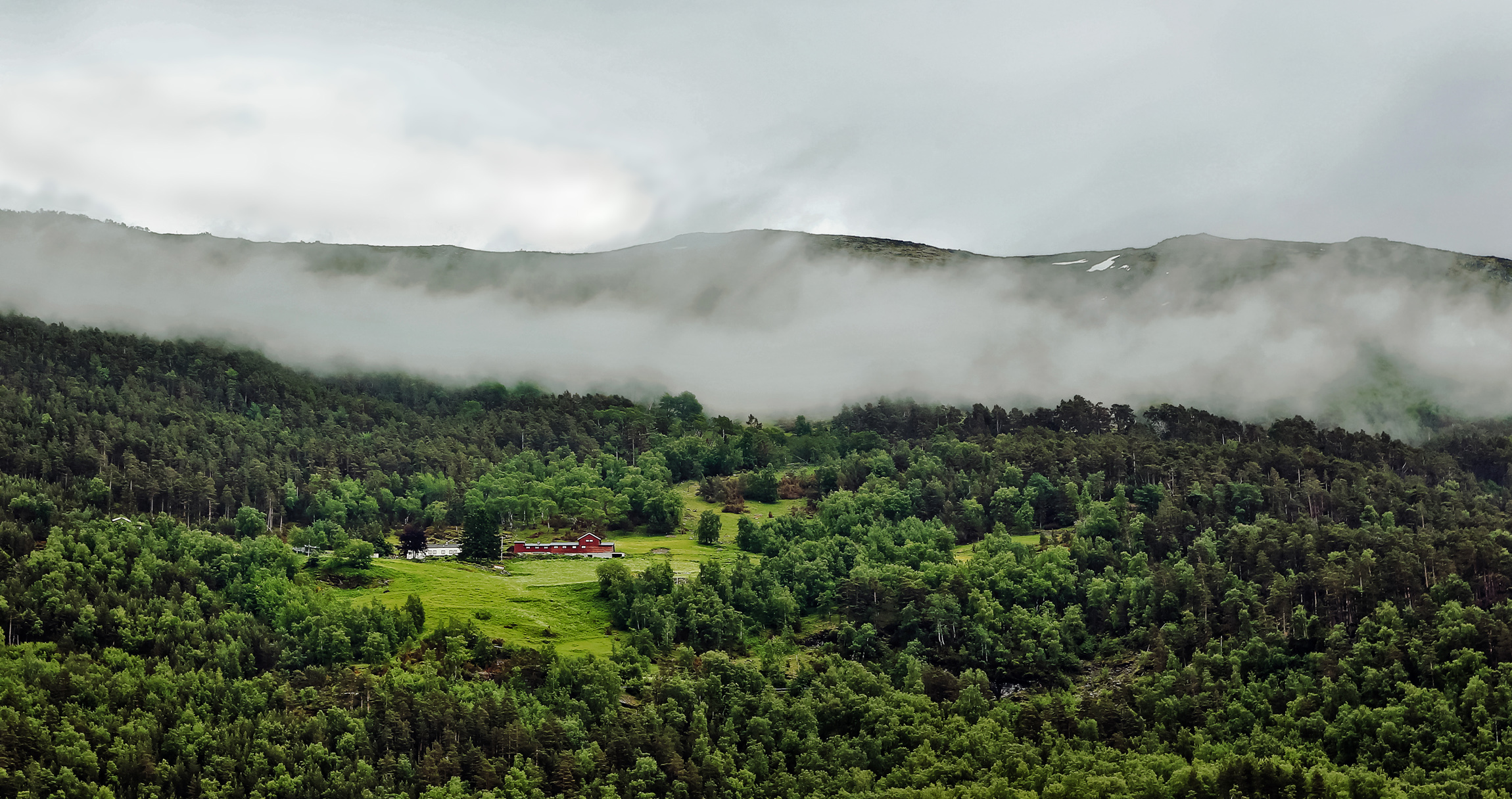 Северный оазис