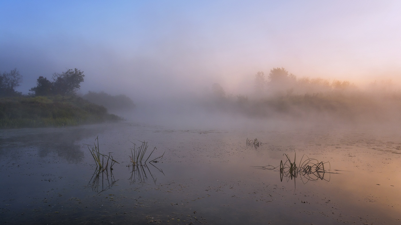 Туманный рассвет.