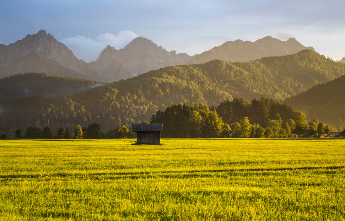 Заливка желтым