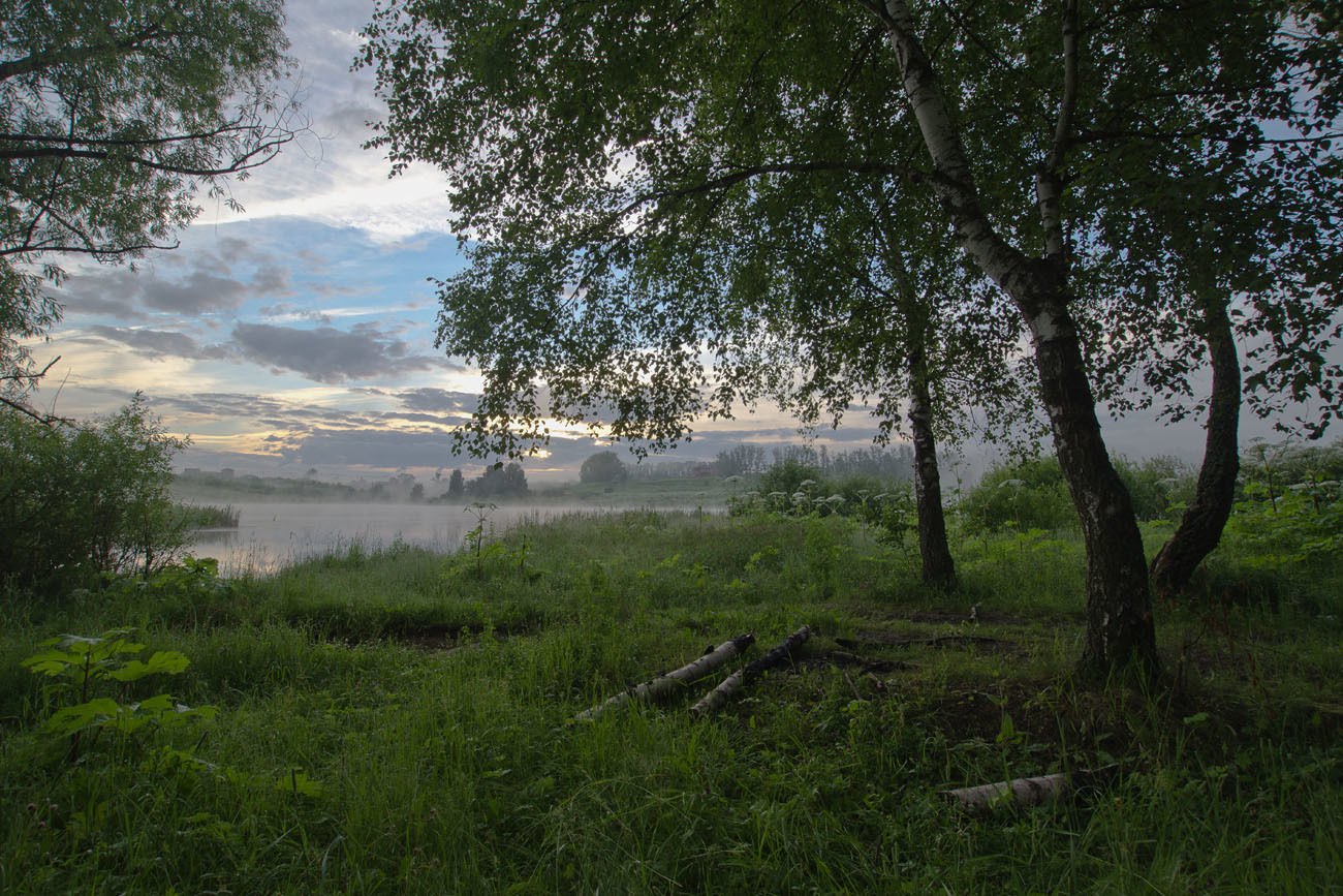 У истока июльского дня