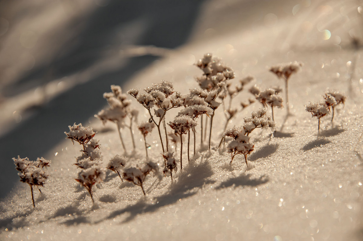 Маленько о прошлой зиме...