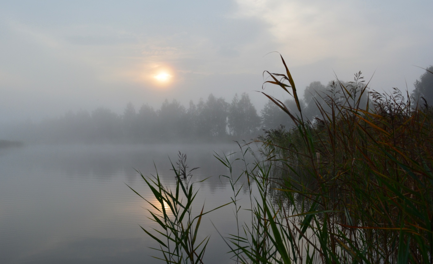 Туманный сентябрь