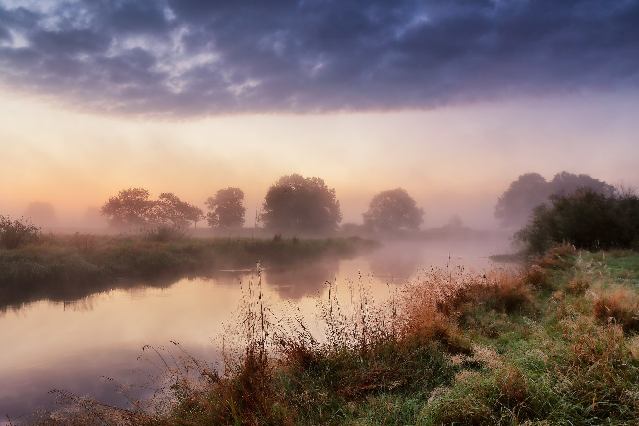 Неман рассветный