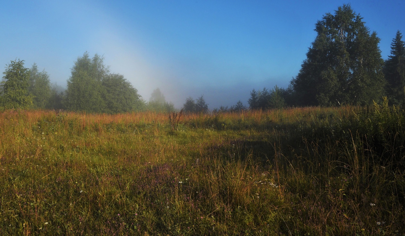 Туман пытался спрятаться в овраге...