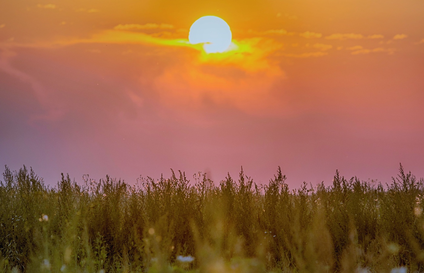 Солнце в ладоне