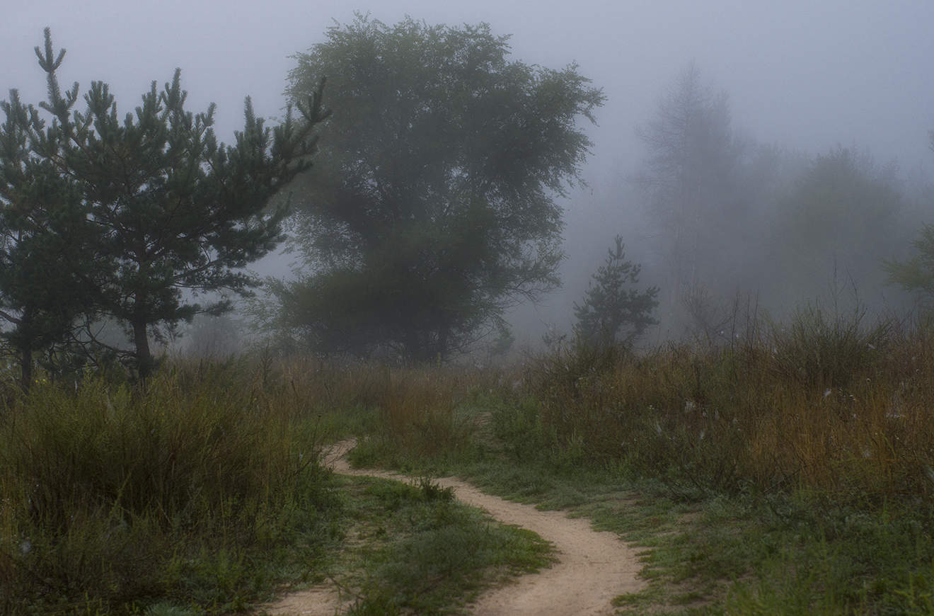 Дыхание осени