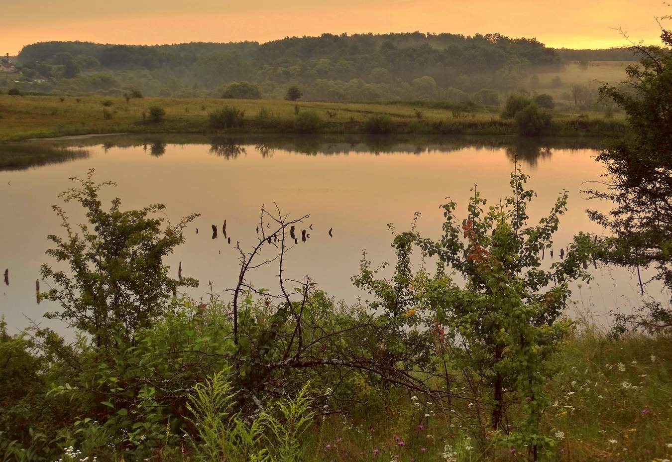 Признаки осени