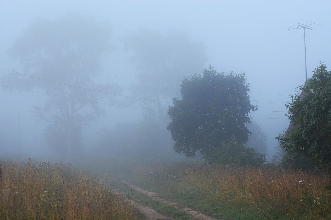 Было туманное утро ...