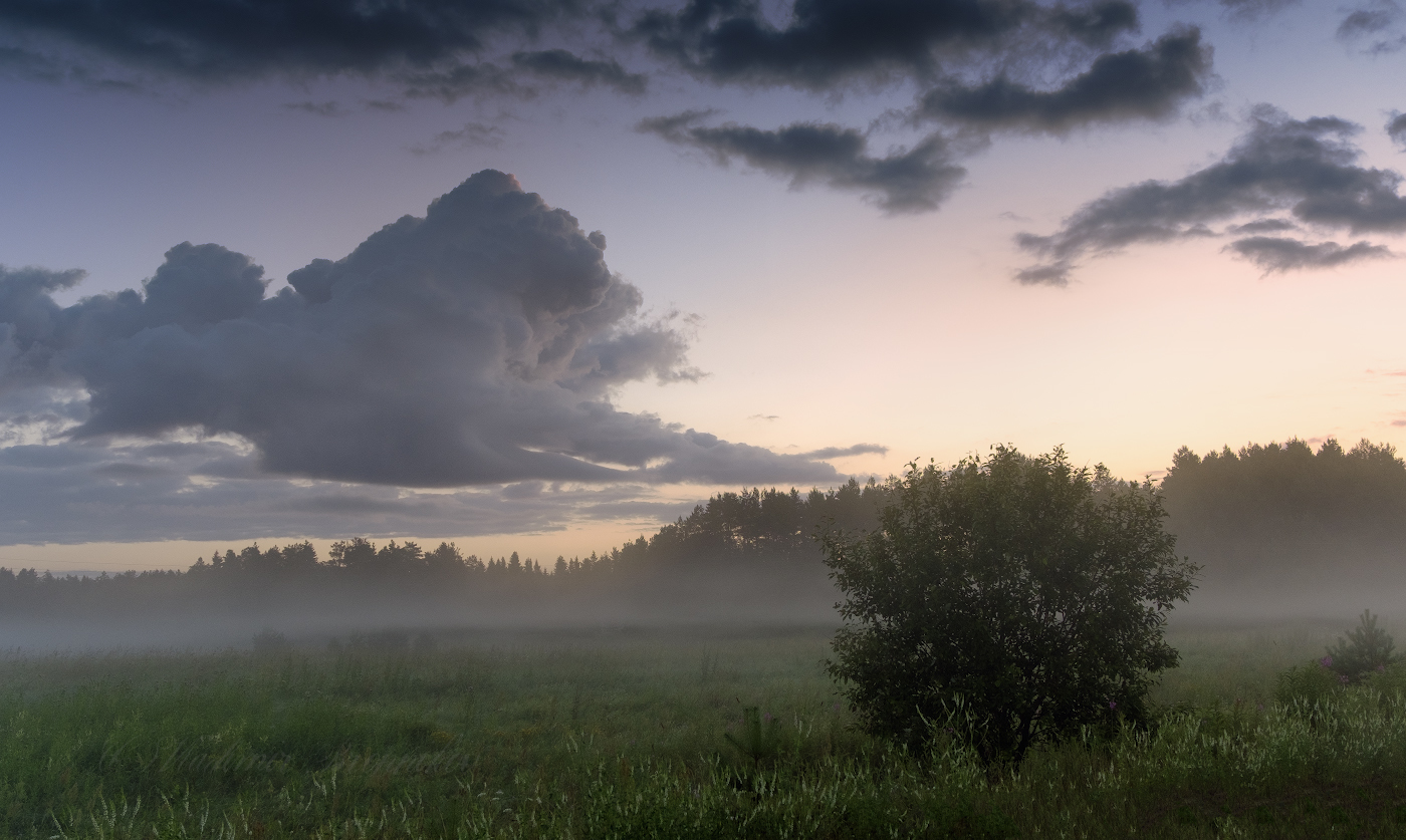 Львиное Прадо в облаках