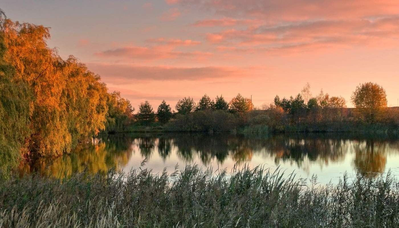 Вот и осень пришла