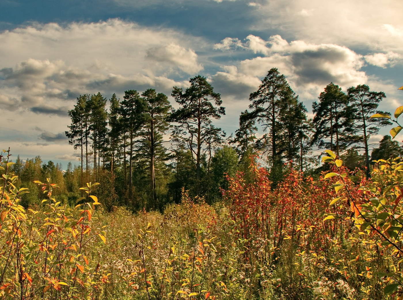 *ОСЕННИМ ДНЕМ.**