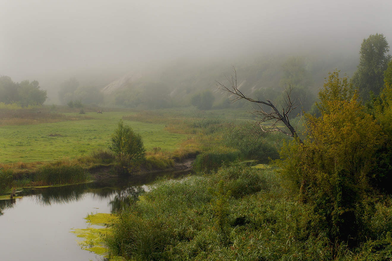 Дыхание осени