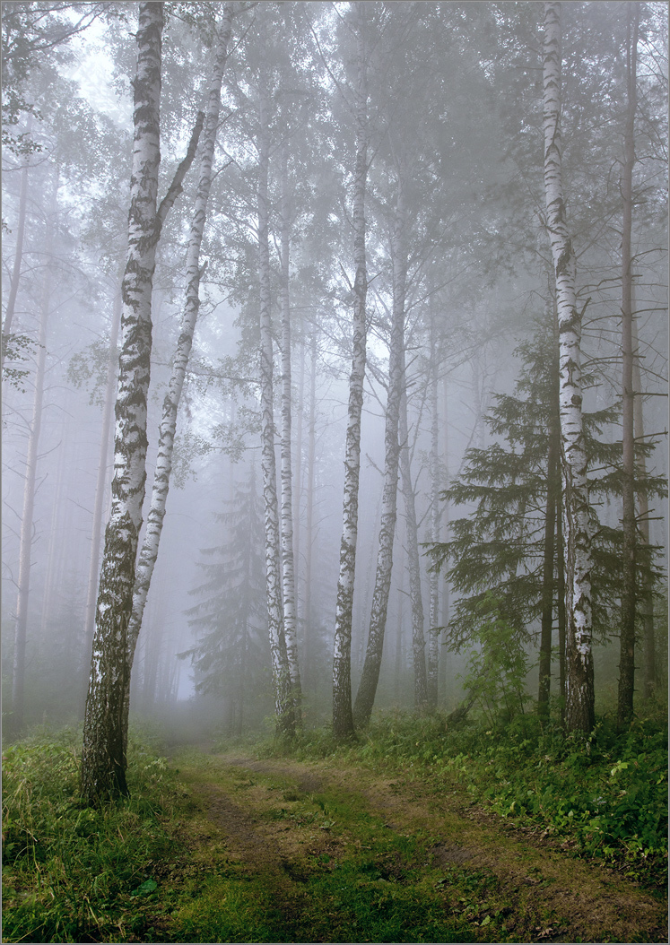 Утро туманное...