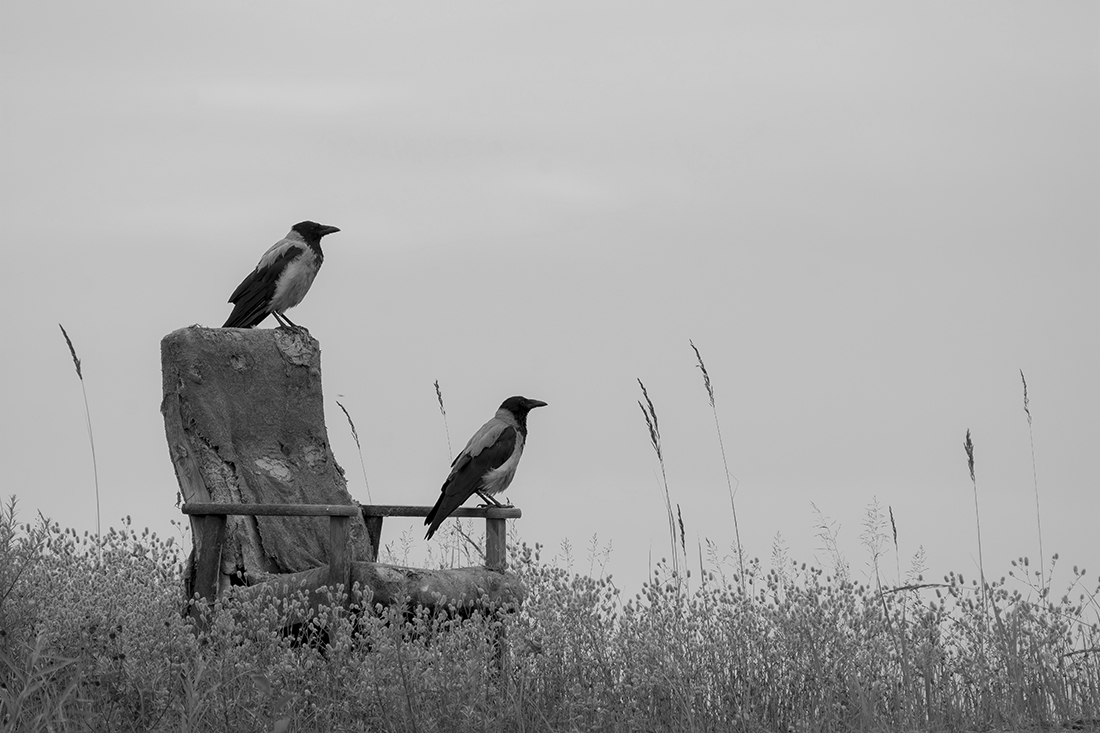 Нужная вещь.