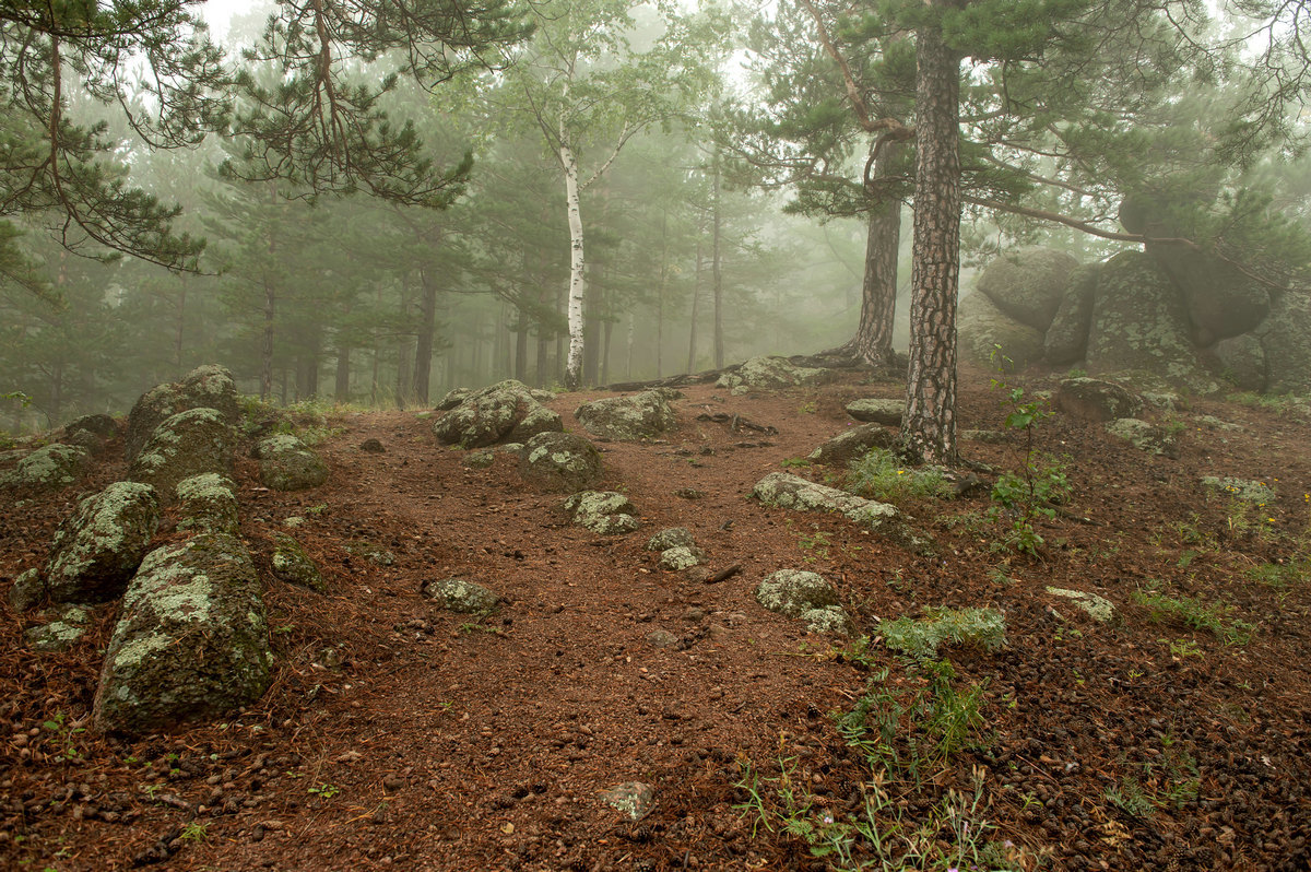 Утренняя тишина...