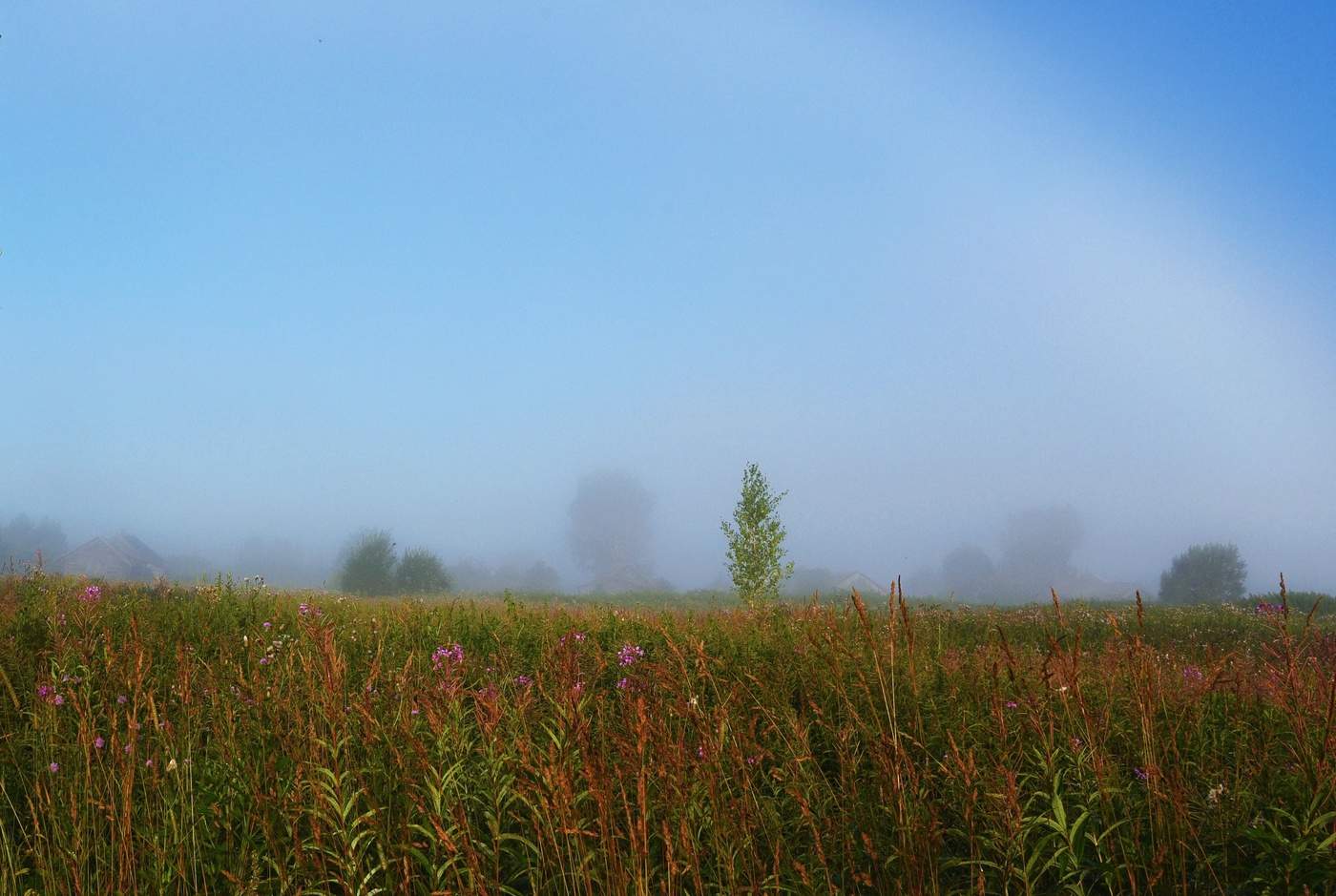 Деревня дремала укутанная туманом...