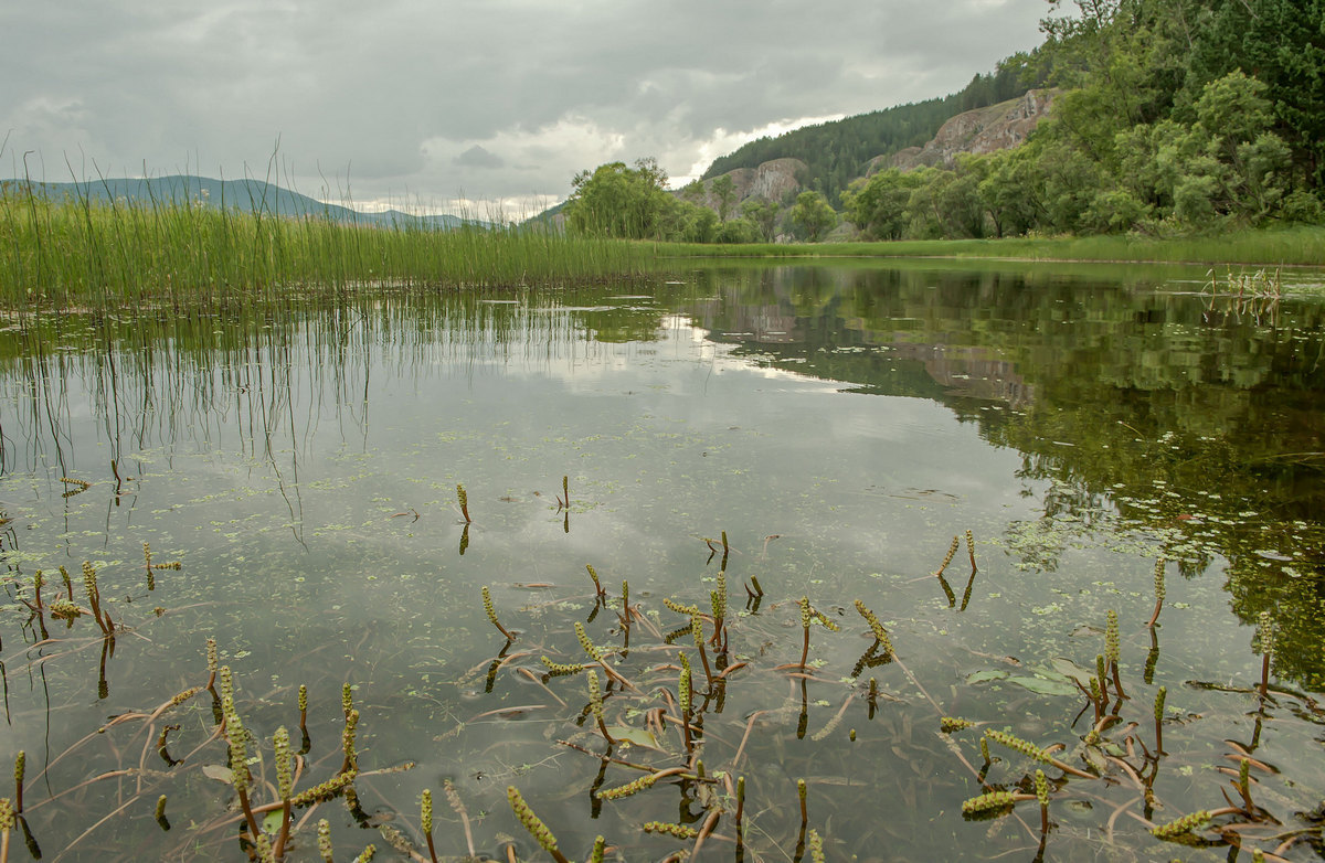 Маленькая заводь реки...
