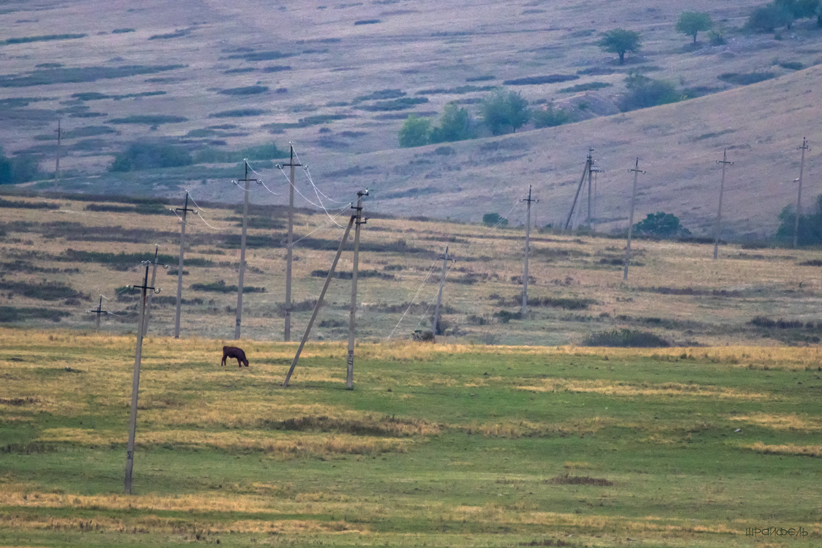 Одиночество не в сети