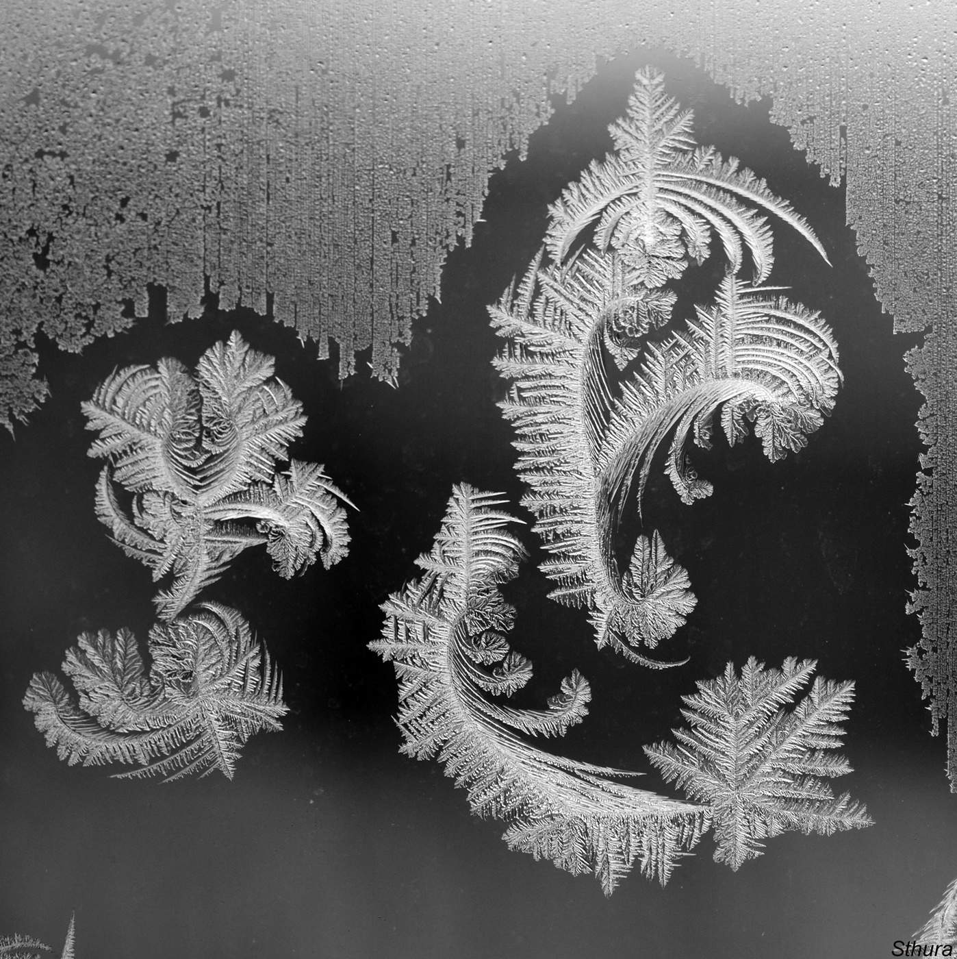 Узоры января.